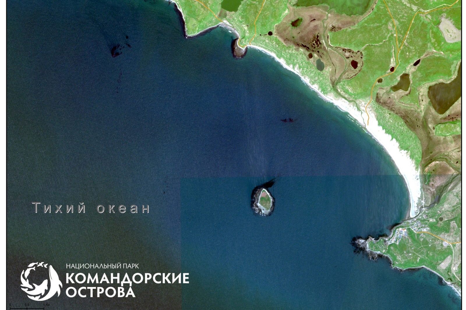 Спутниковый снимок бухты Никольский рейд (о. Беринга), на котором отчётливо видны поля водорослей в прибрежных водах