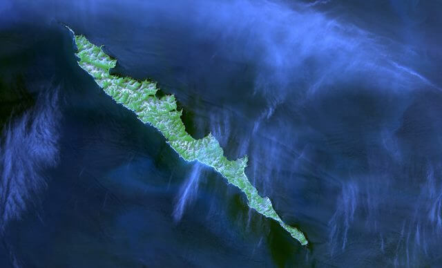 «Земля в иллюминаторе»: как спутниковые технологии помогают экологам охранять и исследовать акваторию Северной Пацифики