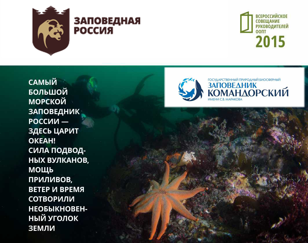 Заповедник «Командорский» представит свой опыт на Всероссийском совещании директоров заповедников и национальных парков
