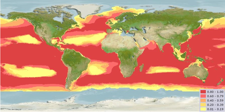 Карта акватории, в которой может обитать алепизавр
