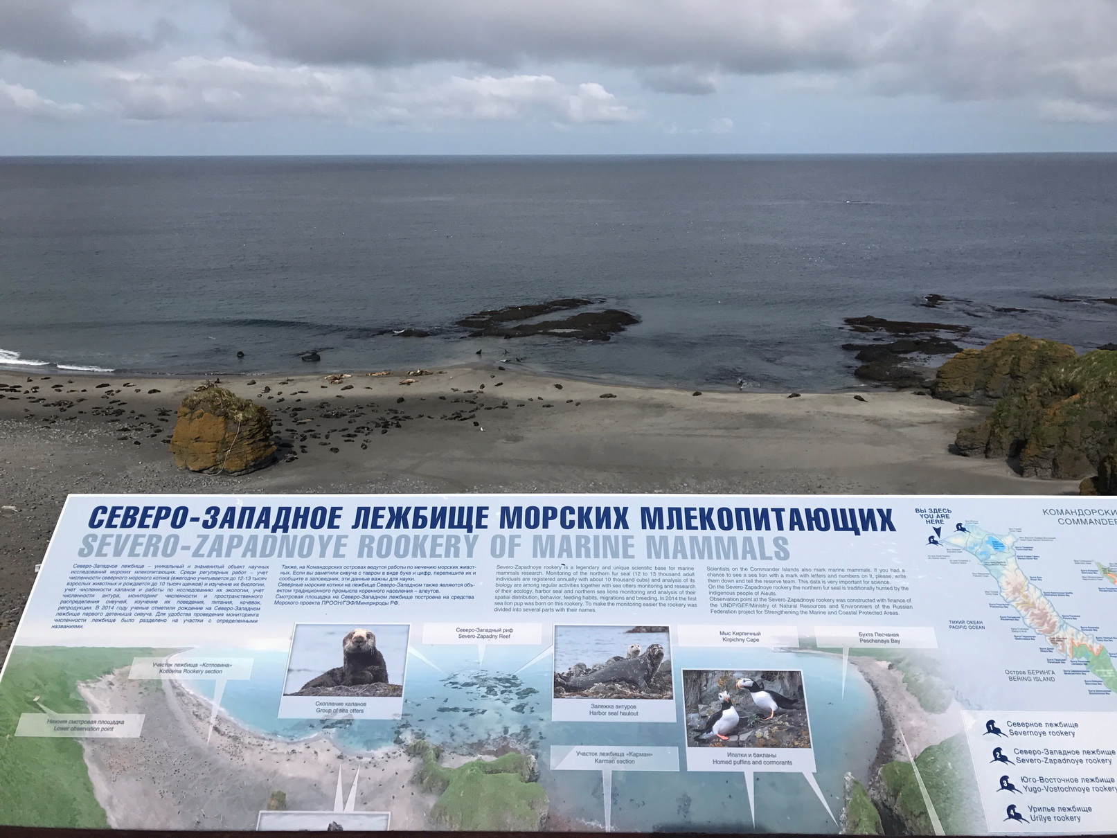Information boards and view on the rookery. Photo by Evgeny Mamaev