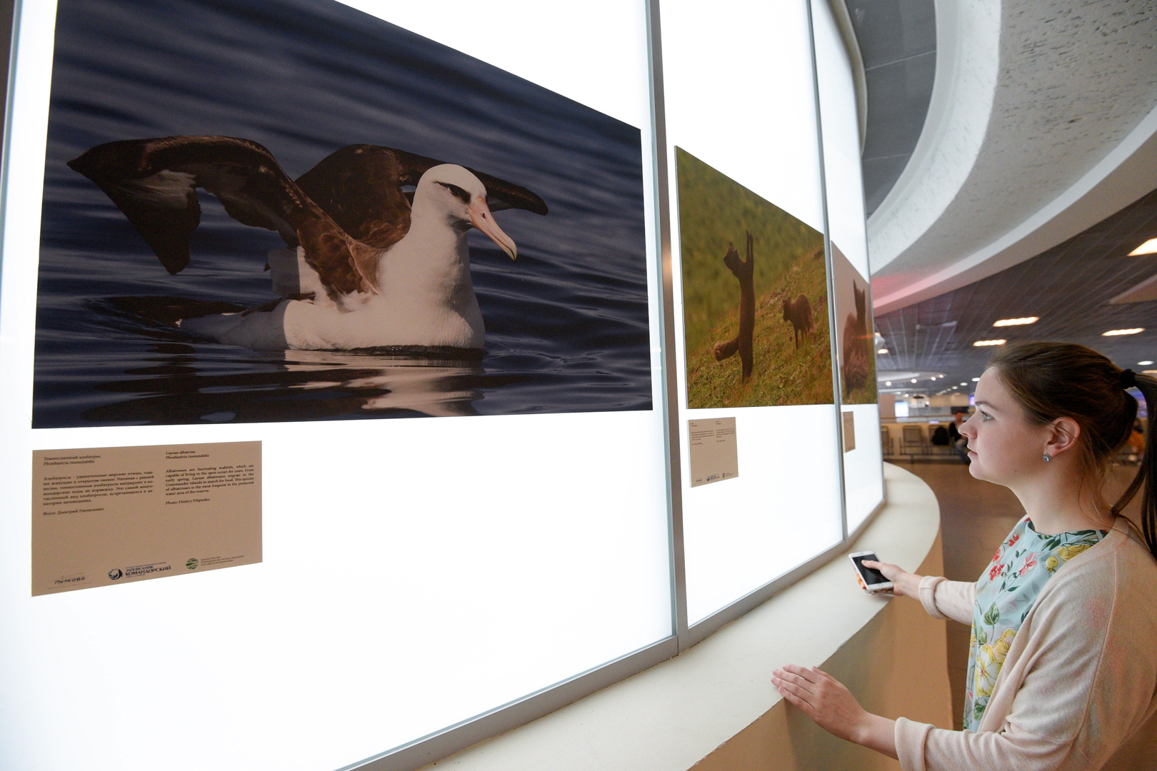 The Commander Islands Nature Reserve Photo Show in Pulkovo Extended