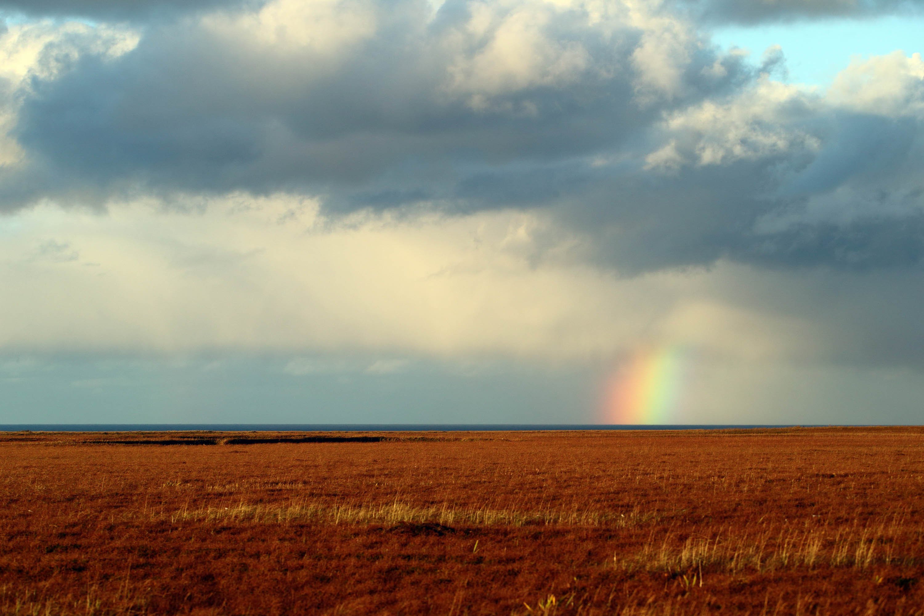 Rainbow in tundra, Bering Island
