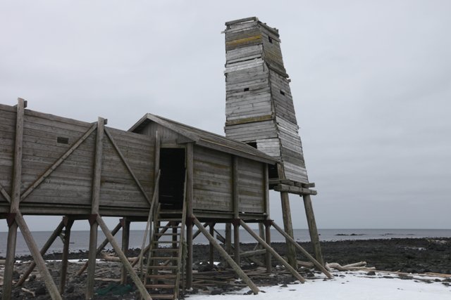 Trestlework and watchtower for monitoring on Severnoye rookery on Bering Island. Photo by Evgeny Mamaev