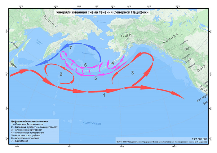 The scheme of sea currents in the North Pacific